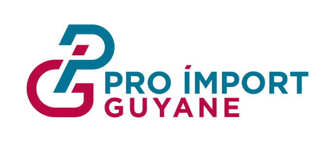 Logo Pro Import Guyane
